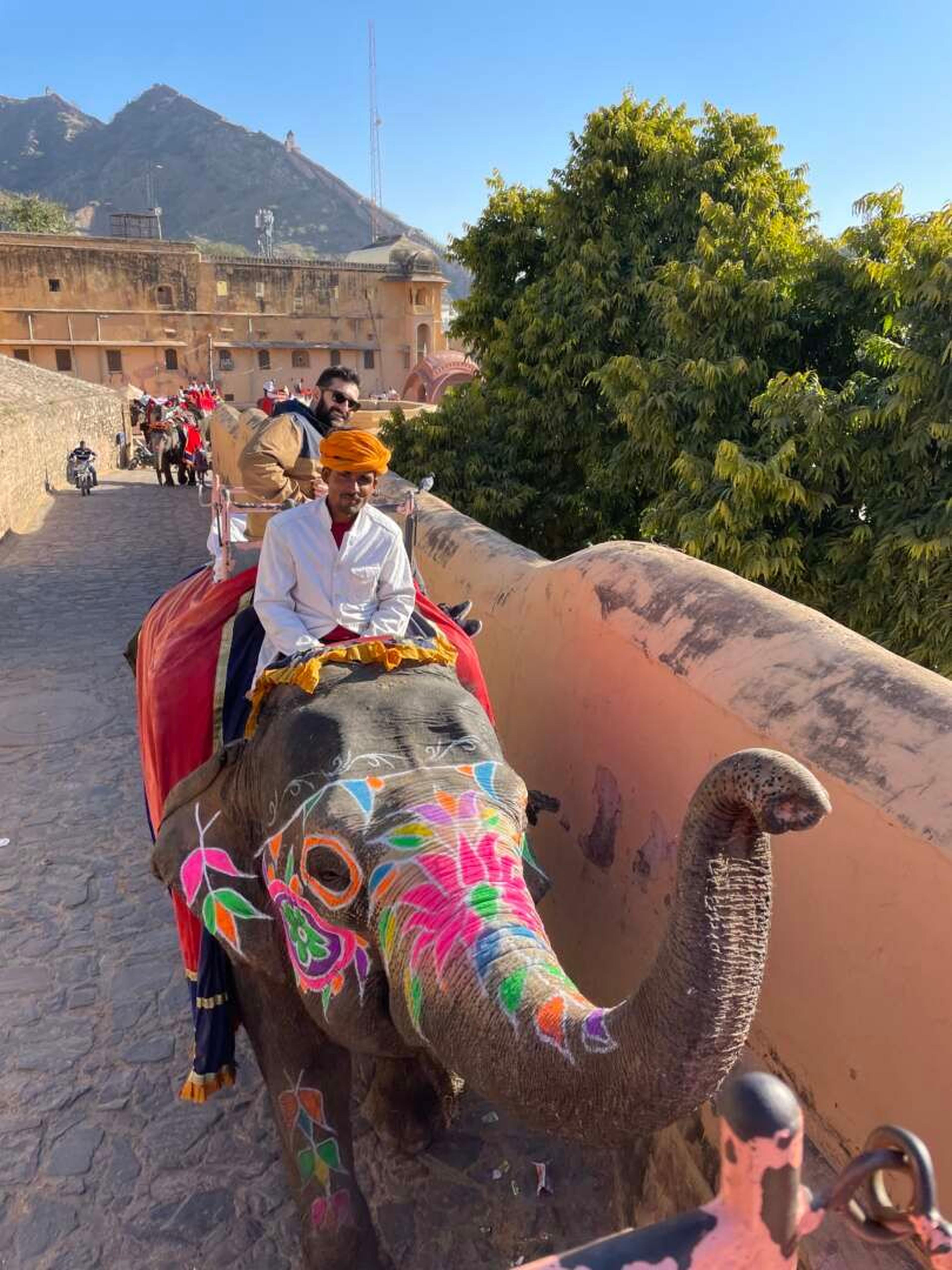 Amber fort elefante