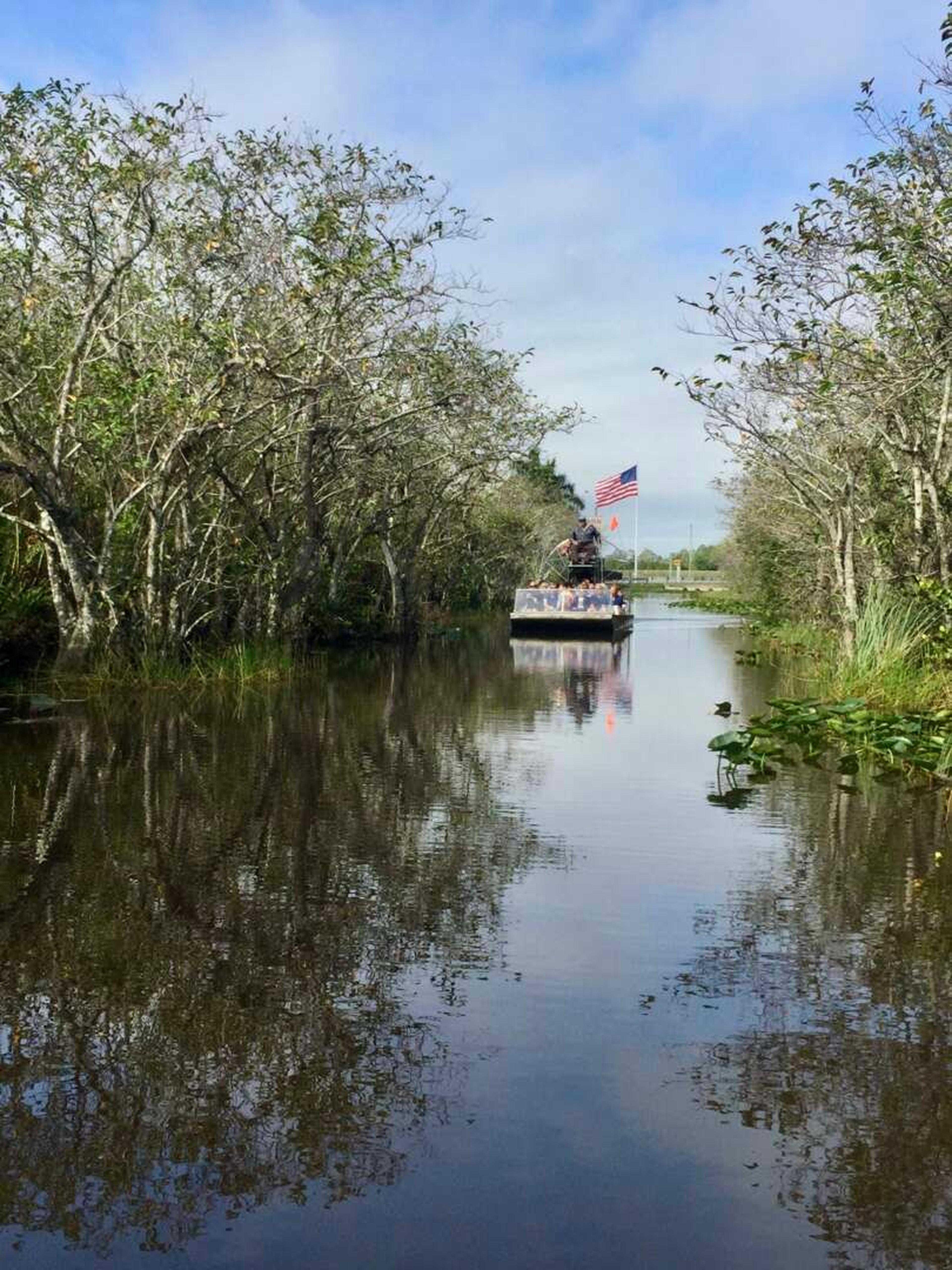 Florida Everglades airbot