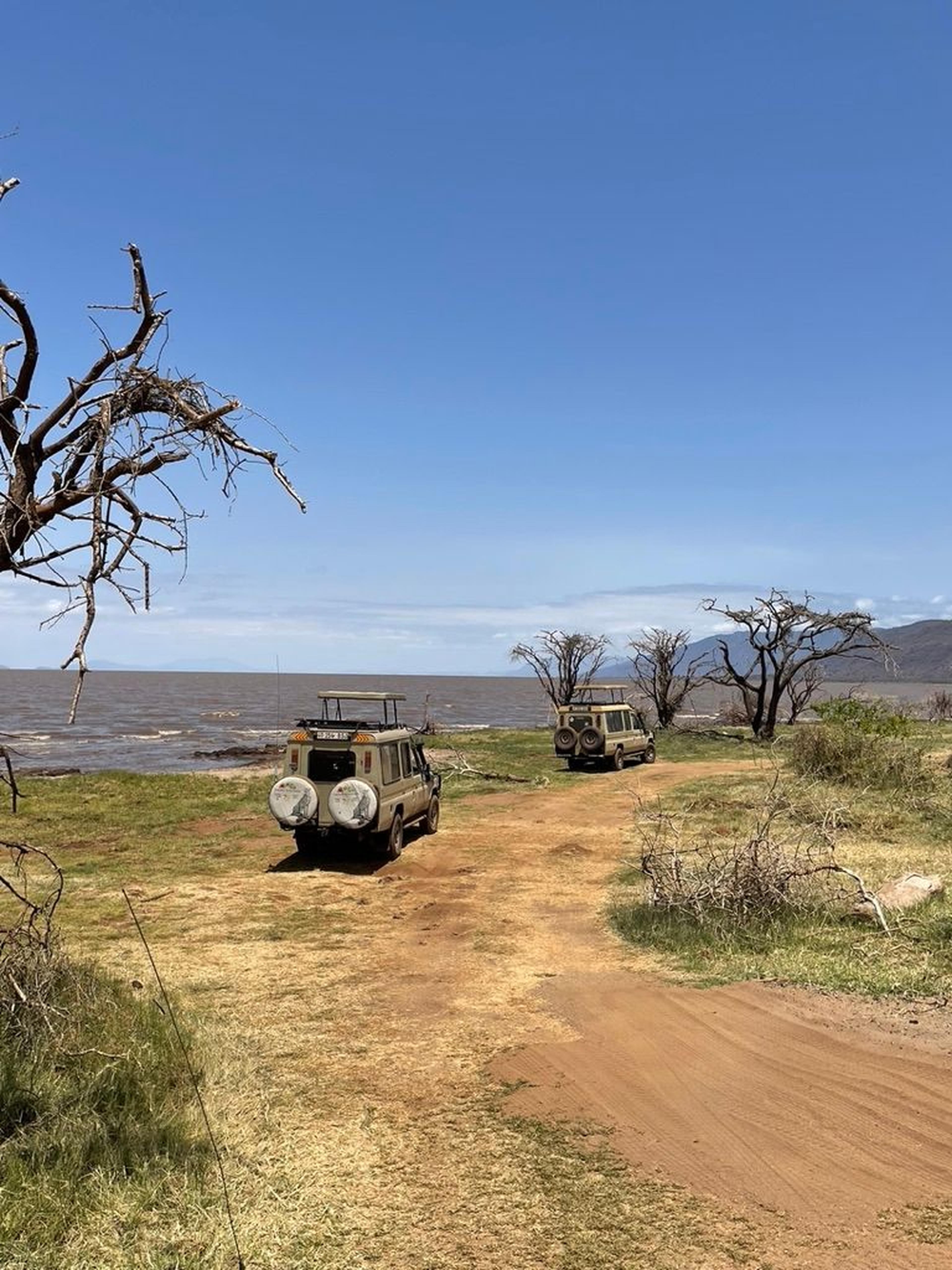 Lago Manyara jeep