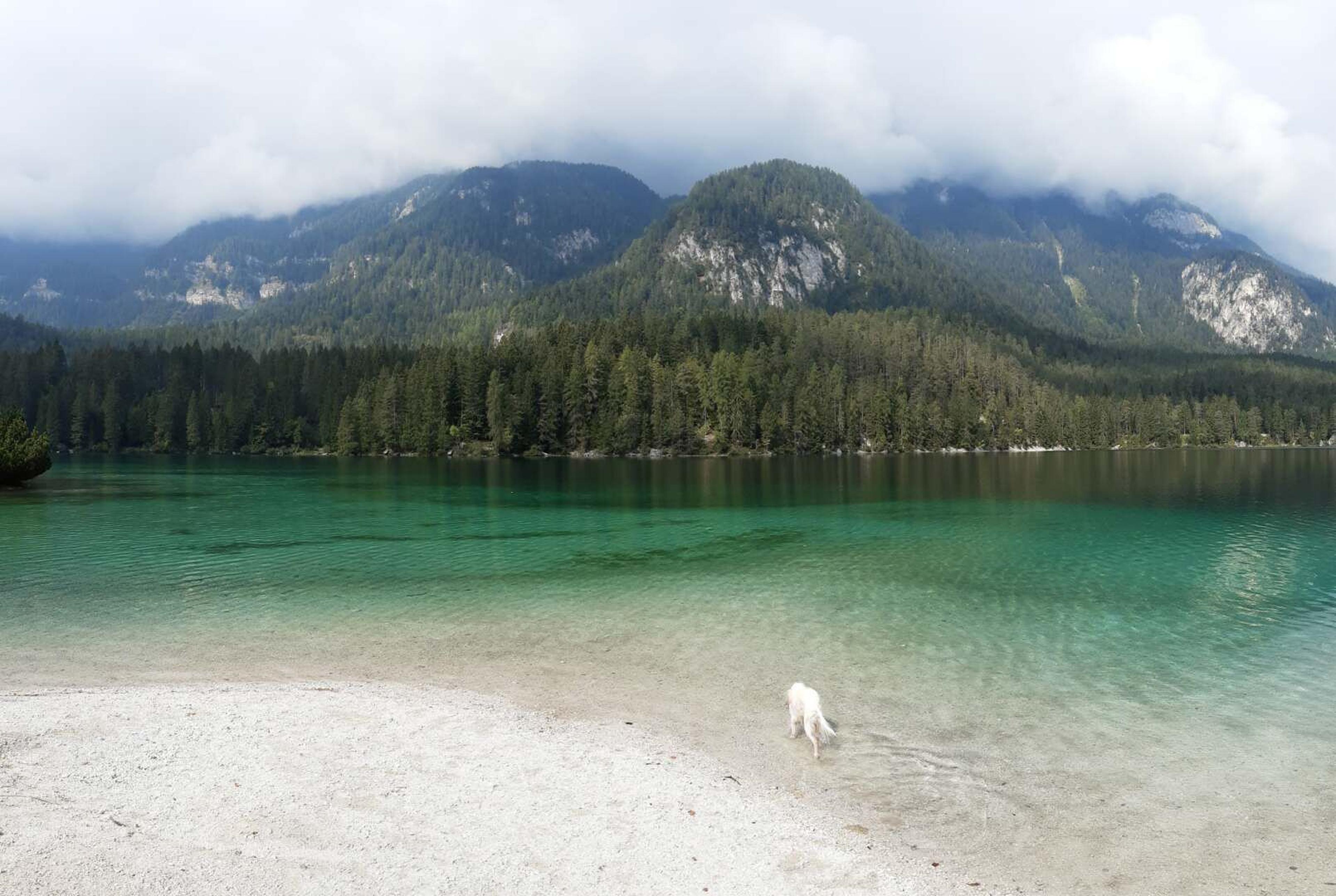 Lago di Tovel sabbia bianca