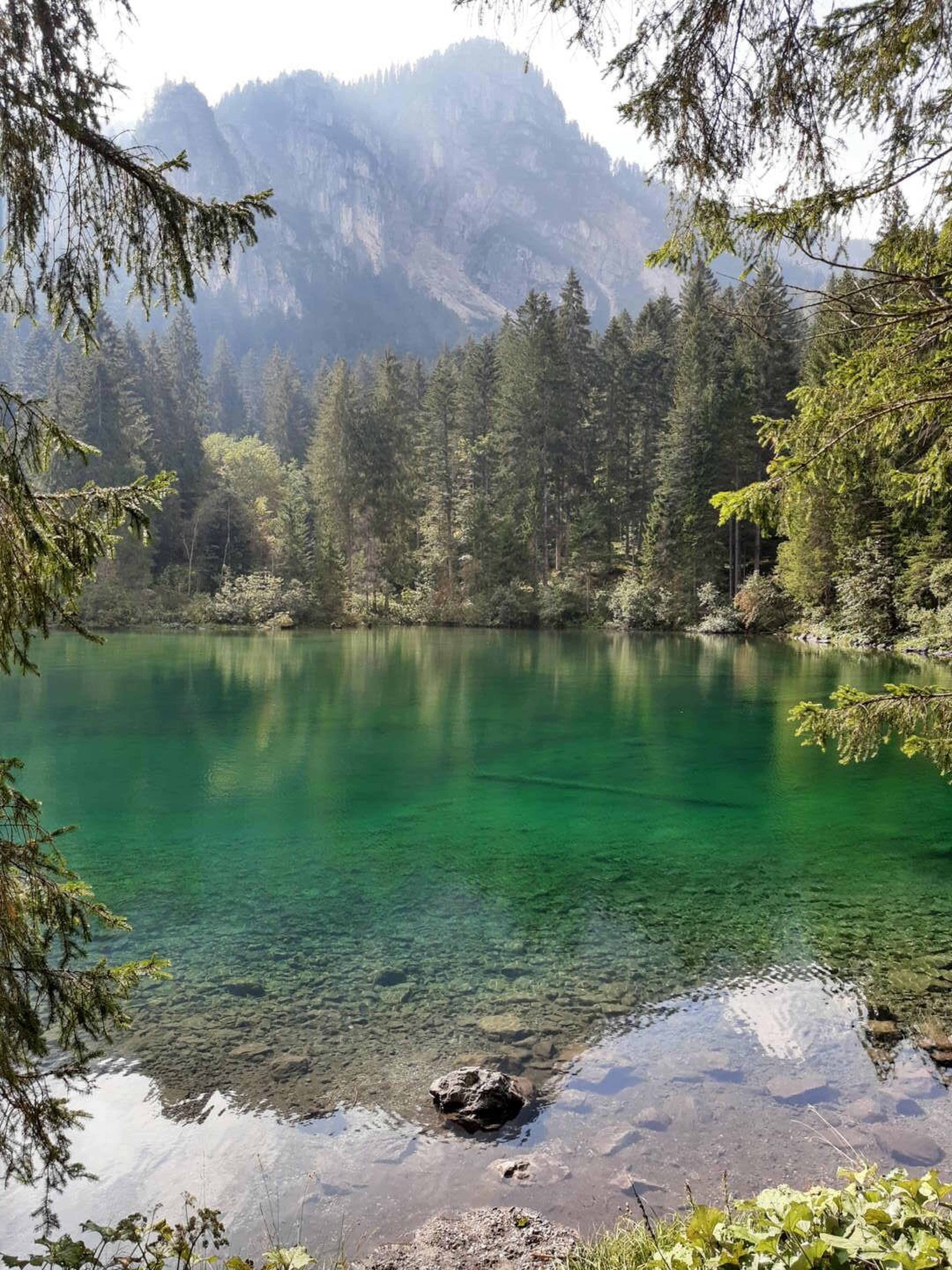 Lago di Tovel verde