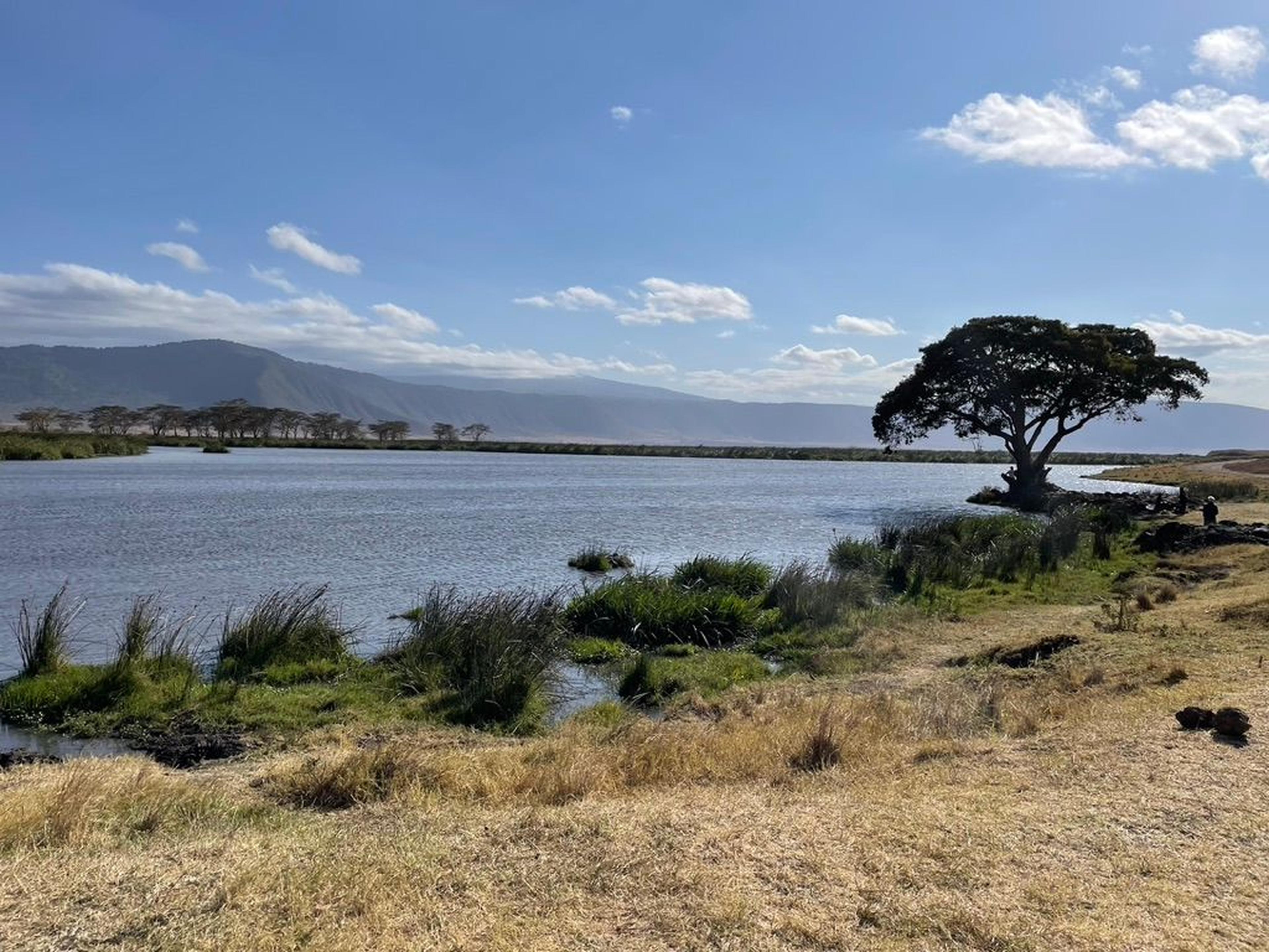 Ngorongoro lago