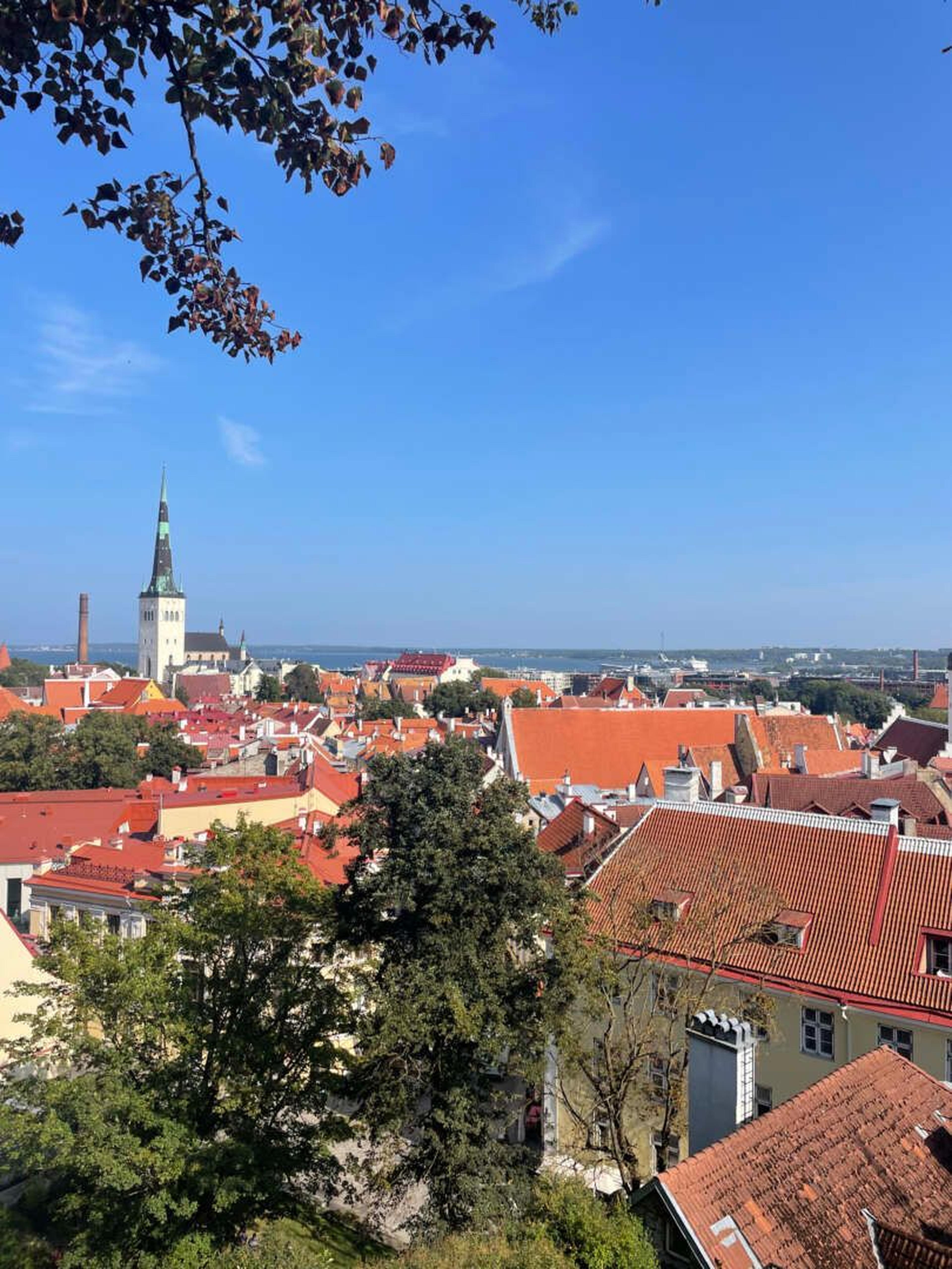 Tallin vista panoramica