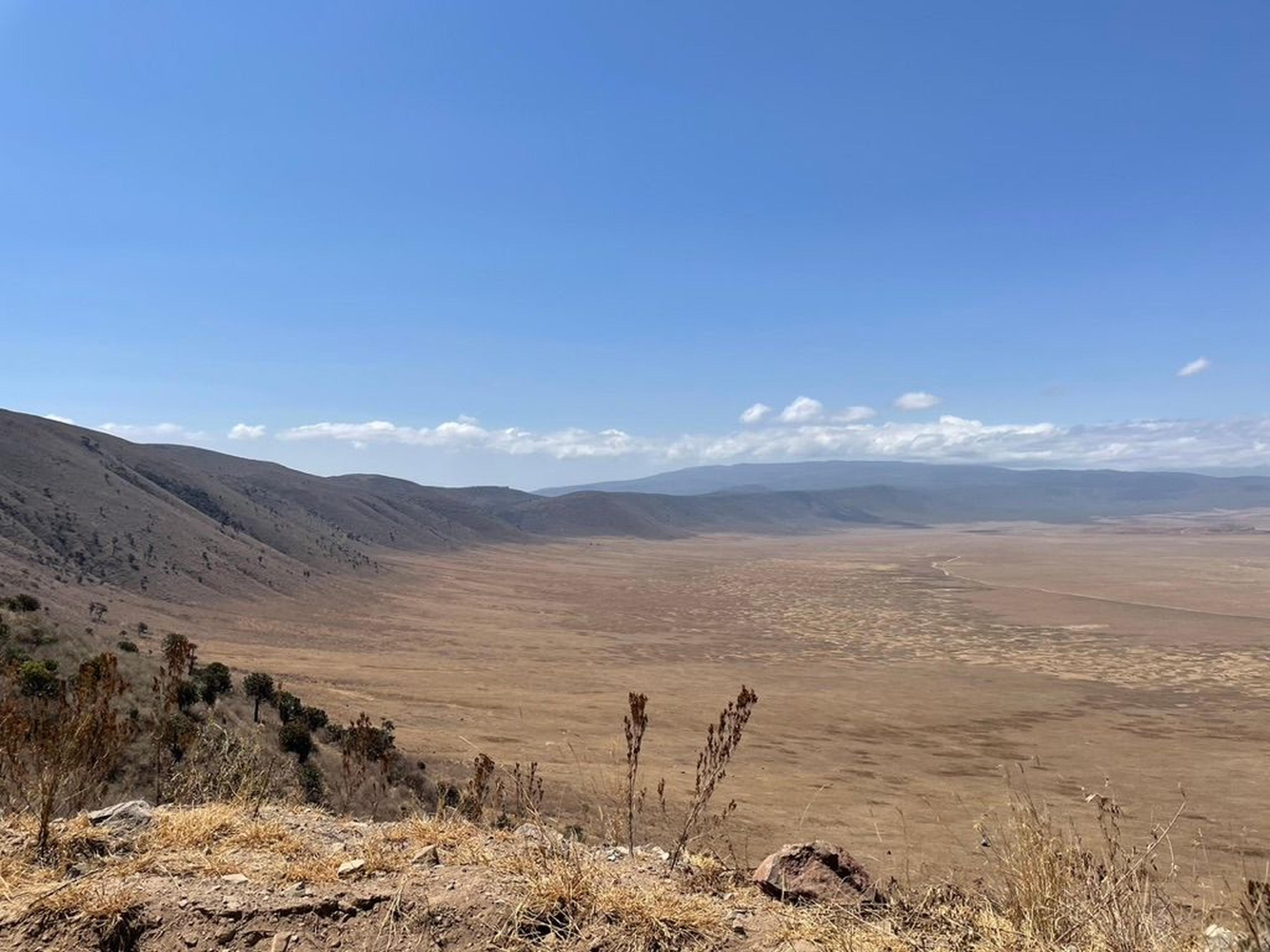 Ngorongoro cratere