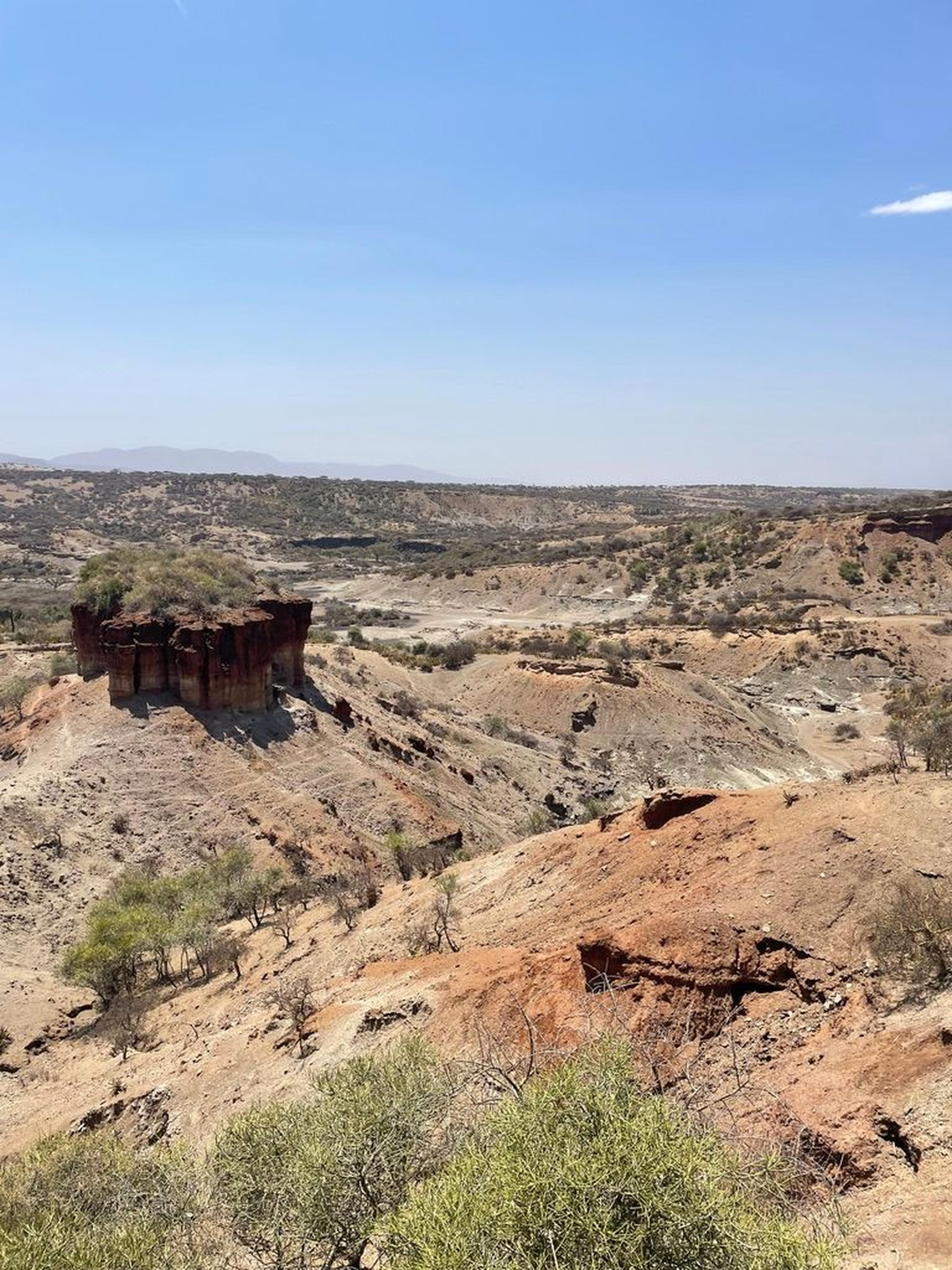 Olduvai gorge vista