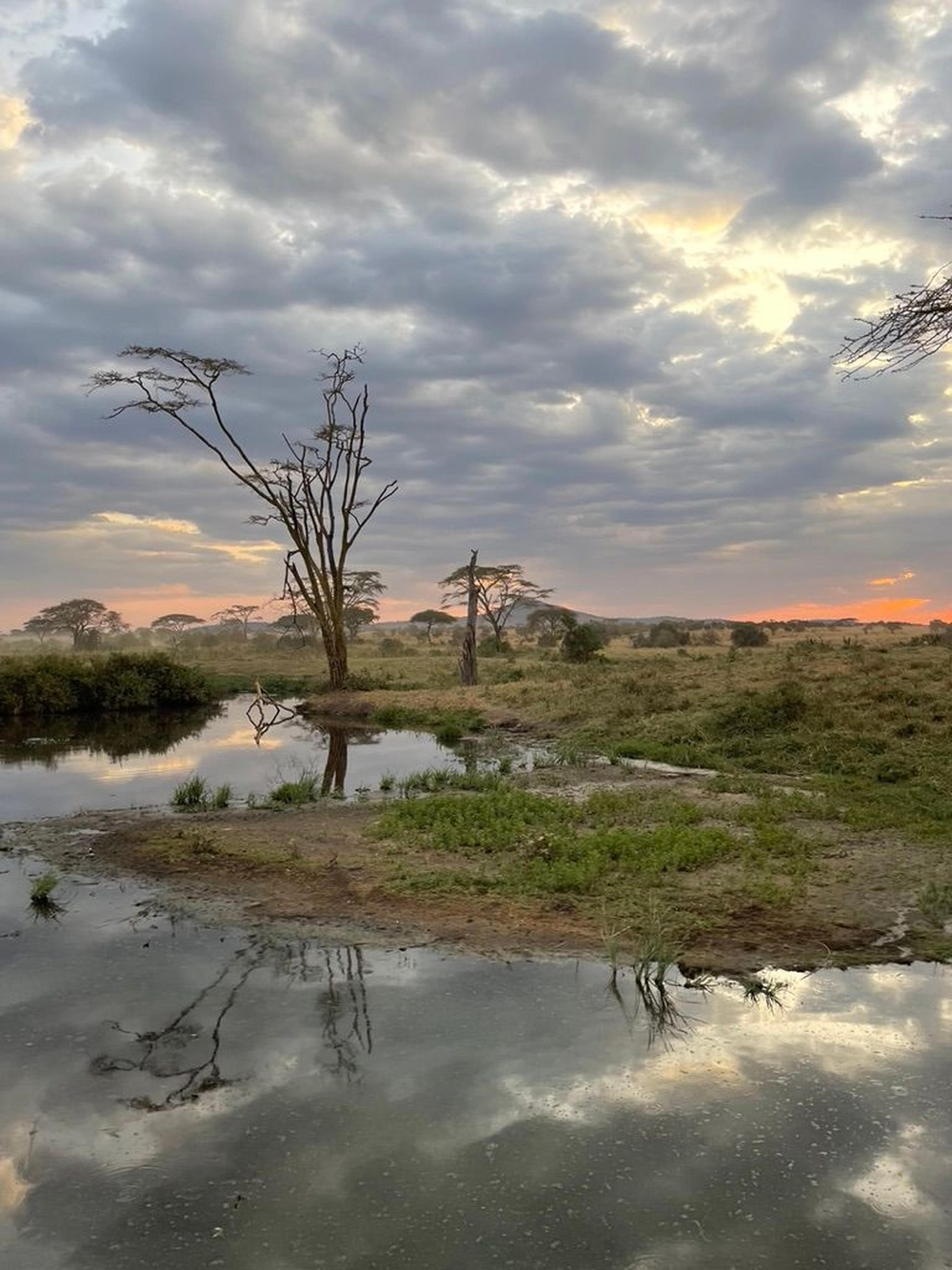 Serengeti lago